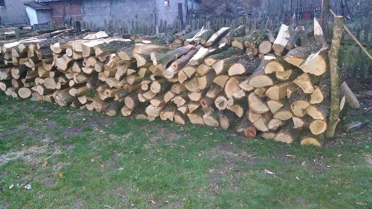 Drva Za Ogrev Beograd